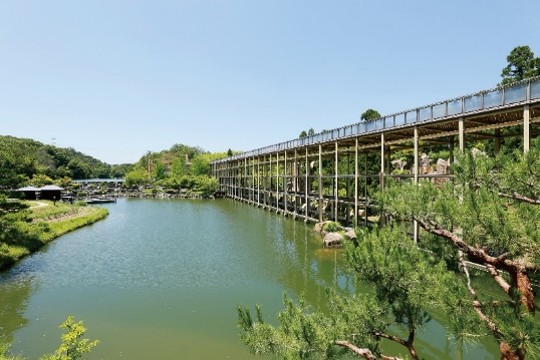 けいはんな記念公園にくらす生き物たち